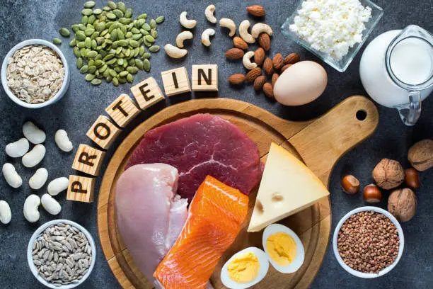 Why Protein Advice Online Is So Confusing and Mixed